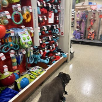 PetSmart - Pet Stores Near Me - Delray Beach, Florida PetSmart - Pet Stores Near Me - Delray Beach, Florida