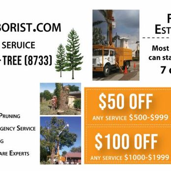 IndyArborist.com Tree Service - 2020 ad - Tree Services Near Me IndyArborist.com Tree Service - 2020 ad - Tree Services Near Me
