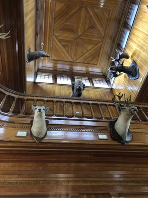 Banff Park Museum National Historic Site by null