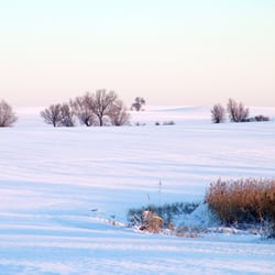 Ferienwohnung Uckerseen - Winter