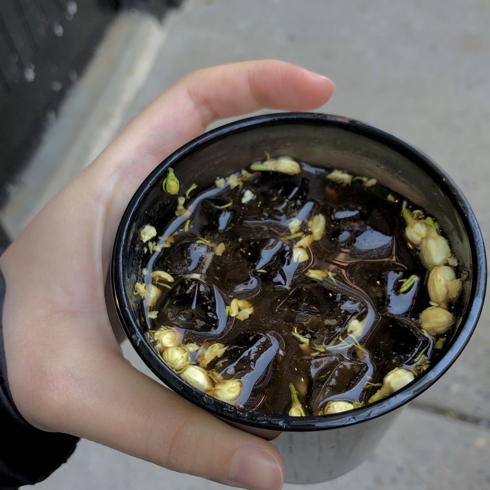 Not As Bitter - Jasmine cofftea americano - Coffee & Tea Near Me - New York, New York