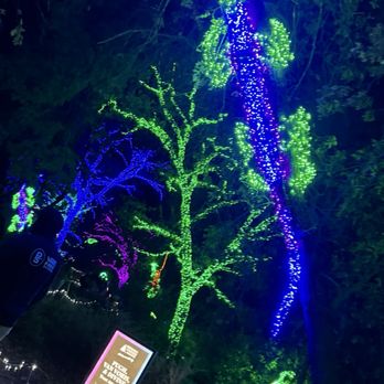 Turtle Bay Exploration Park - Trees are decorated with bright LED lights in various colors, including green, blue, purple, and red, creating a colorful nighttime display. The scene appears to be in a park or botanical garden, with a sign visible in the foreground and a person observing the lights. The background includes dark foliage and additional illuminated trees, emphasizing the decorative lighting installation. - Museums Near Me - Redding, California