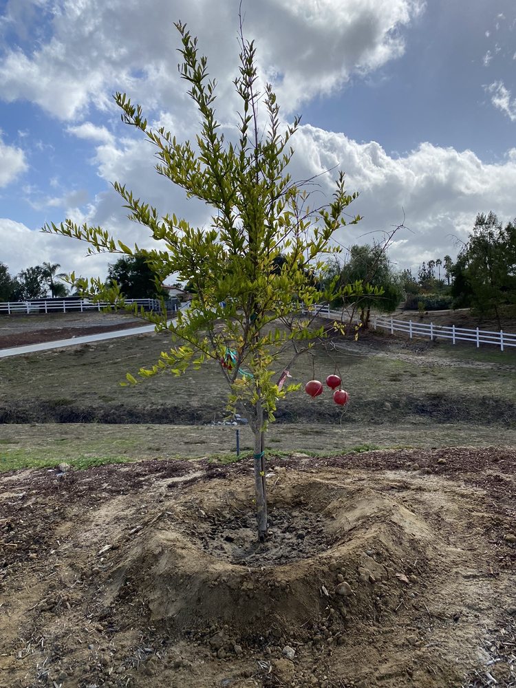 ROSELAND NURSERY Updated September 2024 21 Photos & 17 Reviews