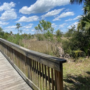 Castaway Island Preserve - Hiking Near Me - Jacksonville, Florida Castaway Island Preserve - Hiking Near Me - Jacksonville, Florida