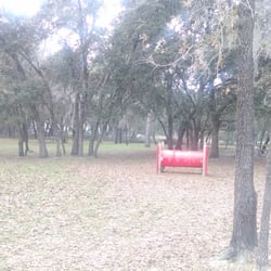 Hernando County's Dog Park