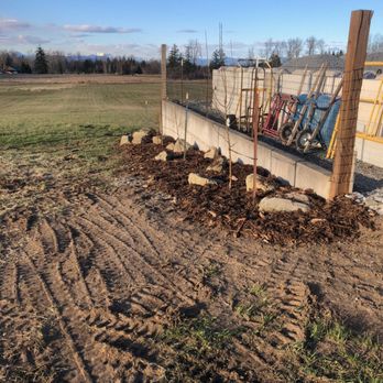 Strong Stems - a row of shovels in a field - Gardeners Near Me Strong Stems - a row of shovels in a field - Gardeners Near Me