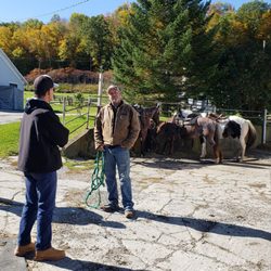 Mountain View Ranch