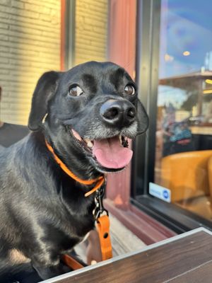 Tierra Mia Coffee by null