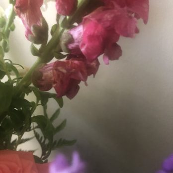 Morristown Florist - Dying - Florists Near Me - Morristown, New Jersey Morristown Florist - Dying - Florists Near Me - Morristown, New Jersey