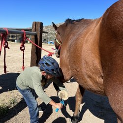 Mountain Top Equestrian