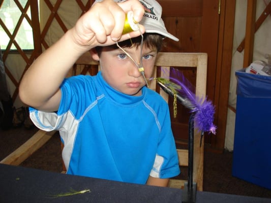 Matt Heron Fly Fishing by null