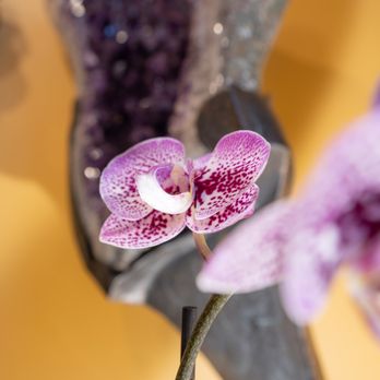 Evoke Healing Space - Massage Near Me - Bend, Oregon
