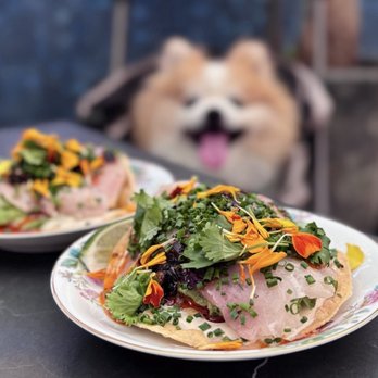 Stereo41 - Hamachi Tostada: "Tuna" [sic], avocado, umami mayo & salsa "matcha" [sic], crispy tostada ($14 each) - MUST GET! - Bars Near Me - Walnut Creek, California