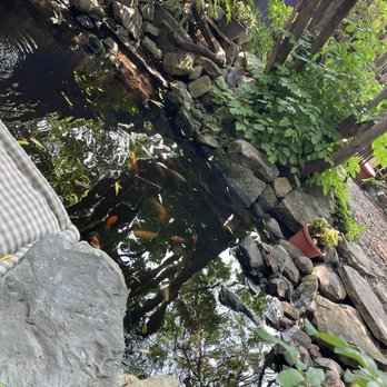 Café Santropol - Pond with fishes! So cute. - Sandwiches Near Me - Montreal, Quebec