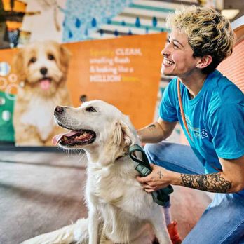 Dogtopia - Tucson - Pet Groomers Near Me - Tucson, Arizona Dogtopia - Tucson - Pet Groomers Near Me - Tucson, Arizona