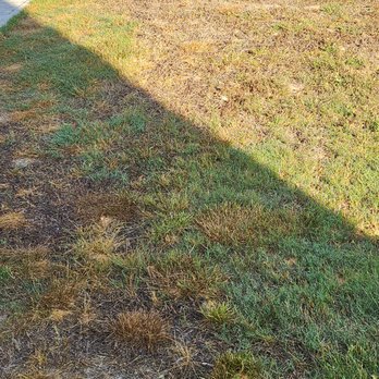 TruGreen Lawn Care - Tree Services Near Me - Acworth, Georgia