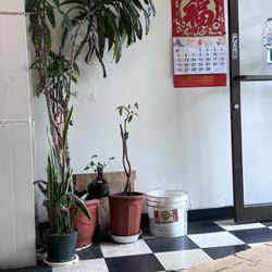 Zhen Mei Hair Salon