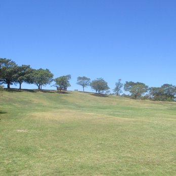 Sydney Park - Park - Parks Near Me - Sydney, NSW