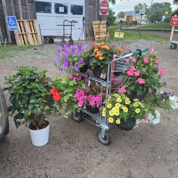 Gardens & Beyond - Cart 1 of 2 at 50% off - $90 spent on BOTH carts - Nurseries & Gardening Near Me - Sterling Heights, Michigan Gardens & Beyond - Cart 1 of 2 at 50% off - $90 spent on BOTH carts - Nurseries & Gardening Near Me - Sterling Heights, Michigan