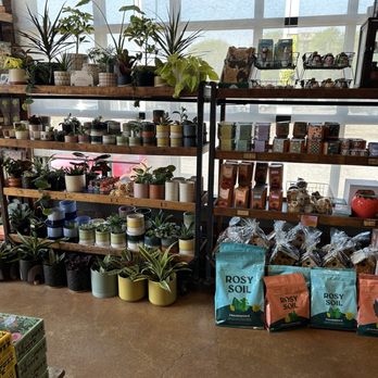 Nest - Plants and things - Home Decor Near Me - Detroit, Michigan