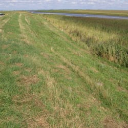 Vadehavet Natur- og Vildtreservat