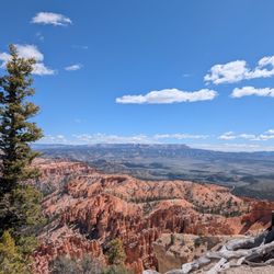 Bryce Point View Point