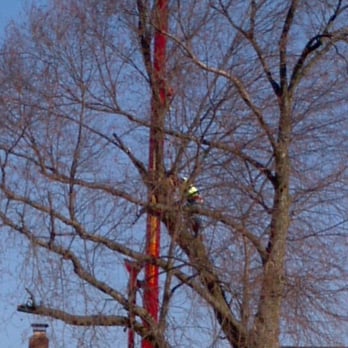 Ruff's Lawn & Tree Service - Working with crane - Tree Services Near Me - Logan, Ohio Ruff's Lawn & Tree Service - Working with crane - Tree Services Near Me - Logan, Ohio