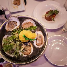 Oysters Oysters