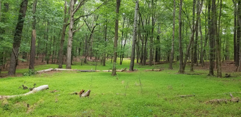 Harris Lake County Park