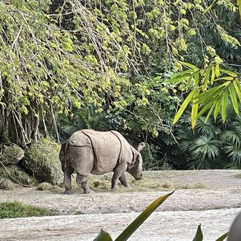 Zoo Miami - Zoos Near Me - Miami, Florida Zoo Miami - Zoos Near Me - Miami, Florida
