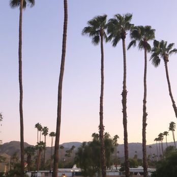The Inn at Deep Canyon - Balcony view - Hotels Near Me - Palm Desert, California The Inn at Deep Canyon - Balcony view - Hotels Near Me - Palm Desert, California