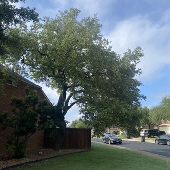 Second Generation Arborist - Before- limbs were hanging far over the fence and sidewalk!! - Tree Services Near Me