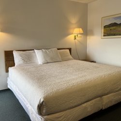 Dreamers Lodge Motel - King Bed