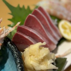 Tomsa Sushi - Hamachi Belly Sashimi