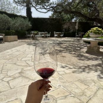 Signor Vineyards - Wine Tasting Room Near Me - Fredericksburg, Texas