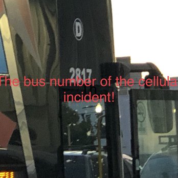 Tornado Bus Company - The bus - Buses Near Me - El Paso, Texas Tornado Bus Company - The bus - Buses Near Me - El Paso, Texas