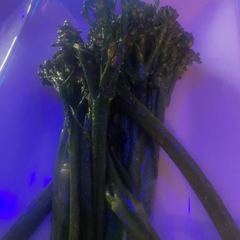Katy Vibes - Sauted Broccolini - Music Venues Near Me - Katy, Texas