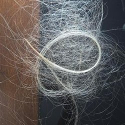 Matthew Ryan Salon