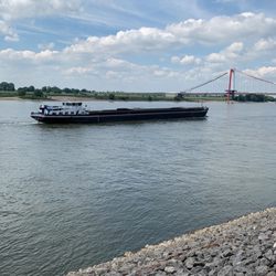 Rheinblick - Blick Richtung Brücke