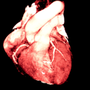 Photo of Beverly Hills Cardiovascular