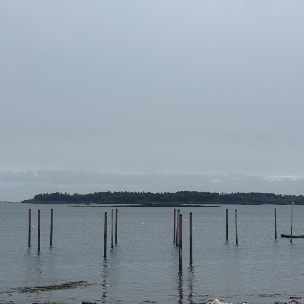 Erica's Seafood - Seafood Near Me - Harpswell, Maine Erica's Seafood - Seafood Near Me - Harpswell, Maine
