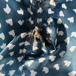 City of Des Plaines - Rodent chewed thru bag. Reported the city of Des Plaines, two days later given retaliatory eviction notice by Buckhorn Estates.