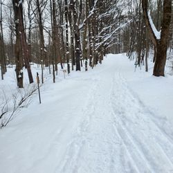 Genesee County Park