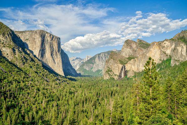 Tunnel View by null
