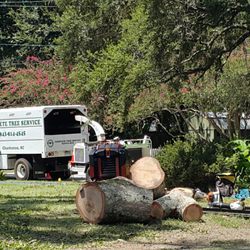 Complete Tree Service 24 Photos 15 Reviews Tree Services 5887 County Line Rd Charleston Sc United States Phone Number Yelp