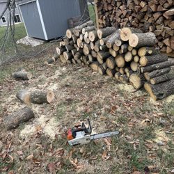 County Tree Service