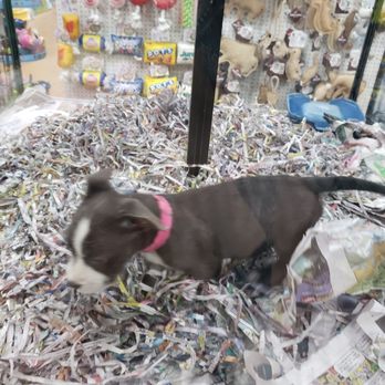 Koolau Pets Plants & Ponds - Pet Stores Near Me - Kaneohe, Hawaii