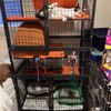 Ardezz Kennels gift card