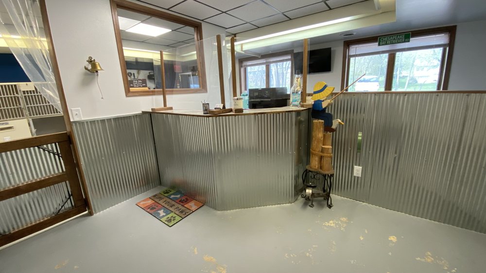 Ship Shape Pet Grooming - pet boarding facility in Waunakee, WI