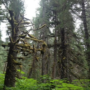 Lost Lake Trail - Hiking Near Me - Bear Creek, Alaska Lost Lake Trail - Hiking Near Me - Bear Creek, Alaska